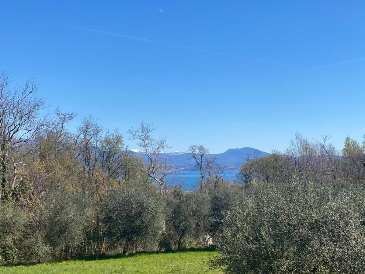 Luxury Apartments - Le Fate - Residence With Pool Manerba del Garda Eksteriør bilde